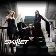 Immagine di Skillet