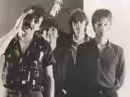 Immagine di The Soft Boys