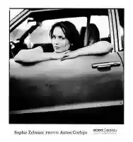 Immagine di Sophie Zelmani