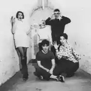 Immagine di Stereolab
