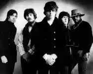 Immagine di Steve Miller Band