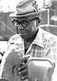Immagine di Sunnyland Slim