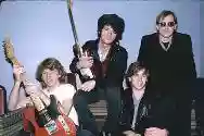 Immagine di The Del Fuegos