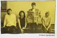 Immagine di The Dream Syndicate