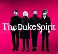 Image ofThe Duke Spirit