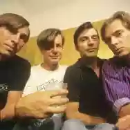 Image ofThe Fleshtones