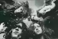 Immagine di The Fluid