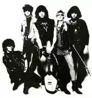 Immagine di The Fuzztones