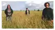 Image ofThe Hidden Hand