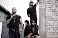 Image ofBackyard Babies