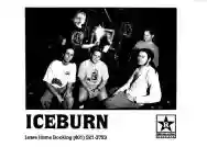 Immagine di The Iceburn Collective