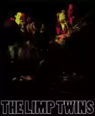 Image ofThe Limp Twins