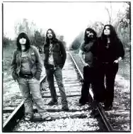 Image ofThe Magic Numbers