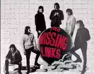 Immagine di The Missing Links