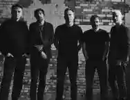 Image ofThe Pineapple Thief
