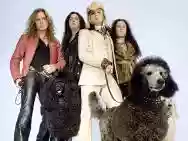 Image ofThe Poodles