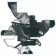 Image ofThe Ropers