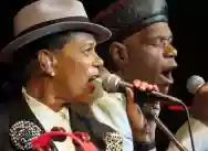 Immagine di The Selecter