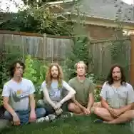 Image ofThe Shaky Hands
