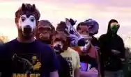 Immagine di The Sound of Animals Fighting