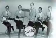 Immagine di The Surfaris