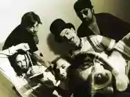 Immagine di Banda Elástica