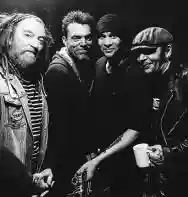 Image ofThe Wildhearts