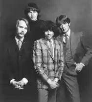 Image ofThe Youngbloods
