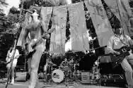 Immagine di Thin White Rope