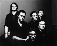 Immagine di Tindersticks