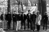 Image ofTon Steine Scherben