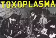 Image ofToxoplasma
