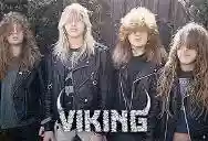 Immagine di Viking