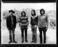 Immagine di Beachwood Sparks