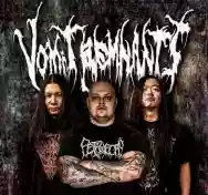 Immagine di Vomit Remnants