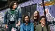 Immagine di White Denim