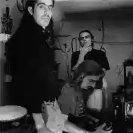 Immagine di Starfuckers