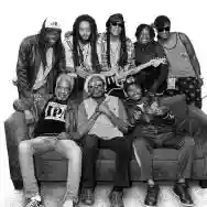 Immagine di The Wailers Band