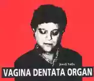 Image ofVagina Dentata Organ