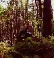 Immagine di Voice of the Seven Woods