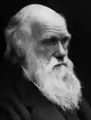 Image ofCharles Darwin