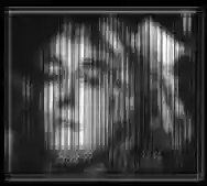 Immagine di Black Lung