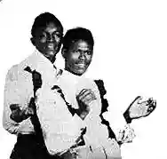 Immagine di The Termites