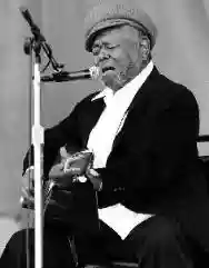 Immagine di Brownie McGhee