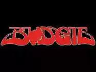 Immagine di Budgie