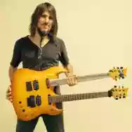 Immagine di Bumblefoot