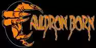 Image ofCauldron Born