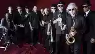 Image ofThe Blues Brothers Band