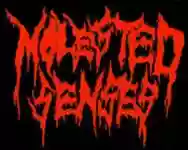 Immagine di Molested Senses