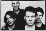 Immagine di The Chills